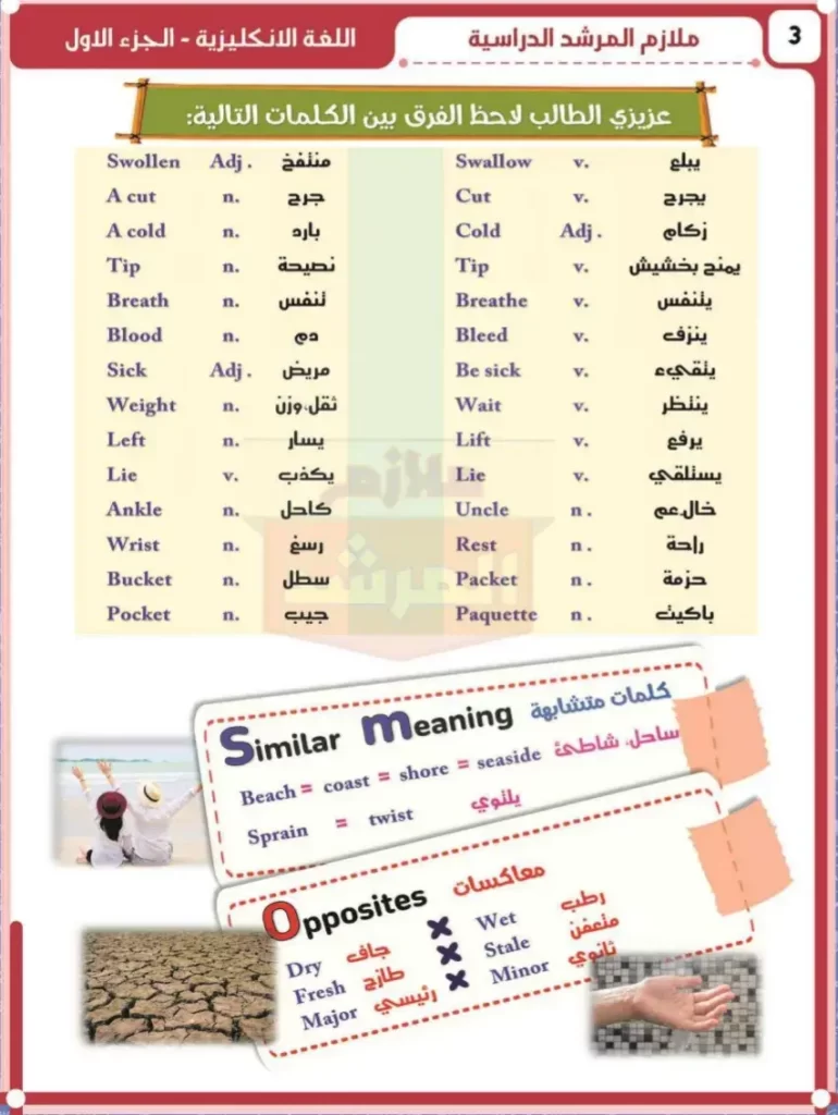 ملزمة اللغة الانكليزية للصف السادس اعدادي ولاء حسين