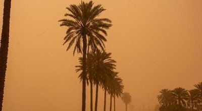 المتنبئ الجوي صادق عطية يتوقع موجة غبار "متوسطة" تضرب البلاد صباح اليوم الجمعة