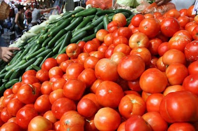 الزراعة توضح أسباب ارتفاع أسعار الطماطم وتقترح حلولاً للسيطرة على الأسواق