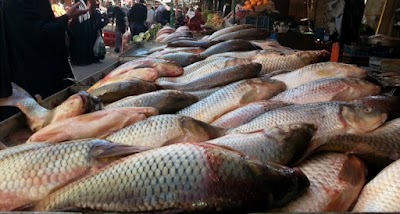 الزراعة تعلن اتخاذ إجراءات لخفض أسعار الأسماك بالأسواق